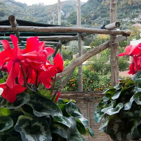 De Vivo Realty - La Vita E Bella Sorrento Apartmán *