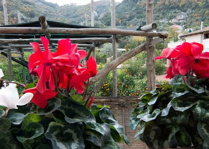 La E Bella - De Vivo Realty Lägenhet *